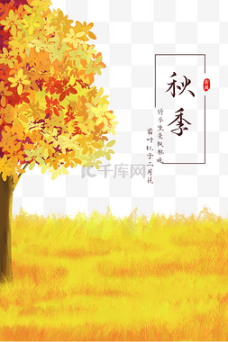 24节气秋分图片_秋季黄色树木风景