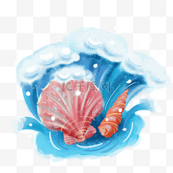 海浪贝壳和海螺