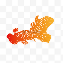 一条金鱼