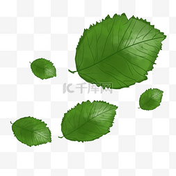 网页漂浮素材图片_绿色的树叶
