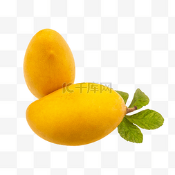 两个水果芒果