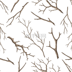 无缝植物图片_无缝模式与干燥光秃秃的树枝。