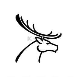 母鹿图片_鹿头侧面视图独立标志有鹿角的矢