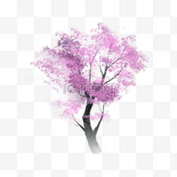春季樱花树桃花树