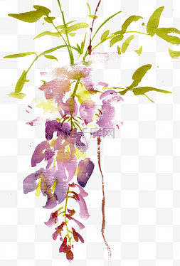 紫色盛开的花朵图片_盛开的紫荆花