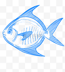 鱼线描图片_海洋生物湖泊小溪河流生物动物海