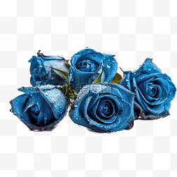 高清的图片_高清免扣花卉摄影蓝玫瑰设计素材