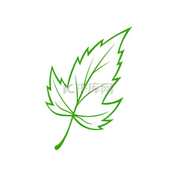 绿色的植物图片_常见的绿叶隔离图标植物叶子的矢