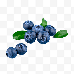 蓝色水果图片_零食蓝色维生素蓝莓