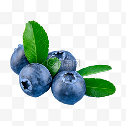 蓝莓图片_食品天然零食蓝莓
