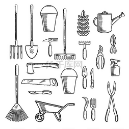 喷壶和植物以及园艺手工工具草图