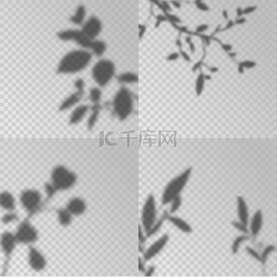 矢量夏天树叶图片_叠加阴影透明柔和的光线阴影树叶