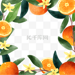 西瓜装饰矢量图图片_橙子水果自然花卉边框
