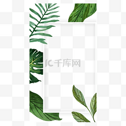 长方形背景纹理图片_边框水彩植物长方形instagram