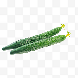 冰箱里的蔬菜图片_绿色蔬菜黄瓜