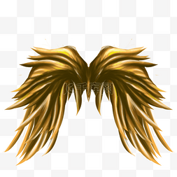 下垂羽毛金色的翅膀