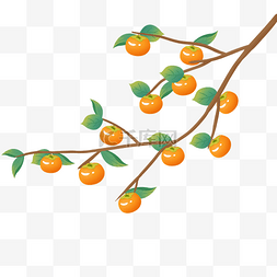 橘黄色图片_秋天秋季柿子树