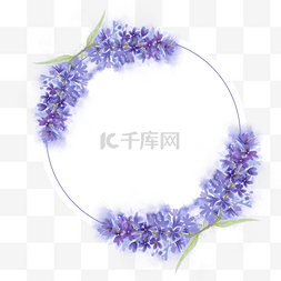 淡蓝色花瓣图片_水彩丁香花卉婚礼圆形线条边框