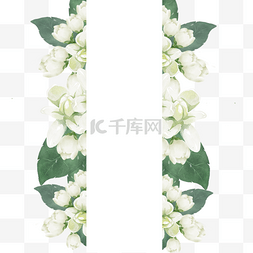 矢量花卉背景图片_茉莉花边框绿色植物水彩花卉