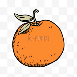 橘子手绘橘子图片_卡通风格水果元素