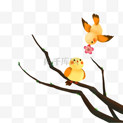 立春树枝上的小鸟春天动物