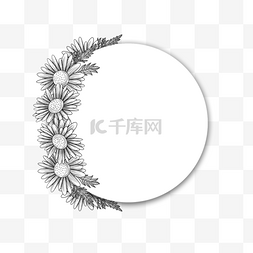 菊花图片_素描花卉植物圆形边框