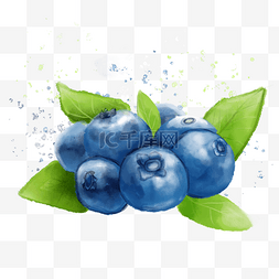 水彩风格蓝莓水果插画