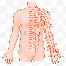 中医火疗养生图片_上身正面穴位图中医