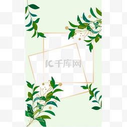 相册模板图片_植物ins淡绿色正方形边框
