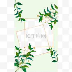 植物ins淡绿色正方形边框