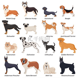 彩色动物矢量图标图片_彩色纯种狗图标套装彩色纯种狗图