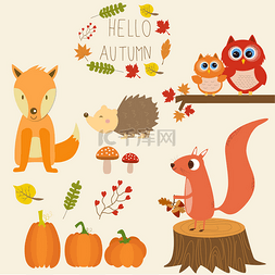 叶子蘑菇图片_小狐狸、 南瓜、 猫头鹰、 松鼠、