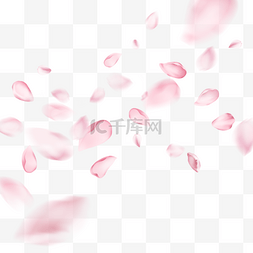 樱花边框图片_春天粉色花瓣光效樱花边框