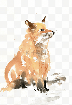 保护动物的图片图片_眺望的狐狸