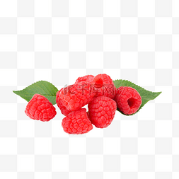 新鲜水果野生树莓