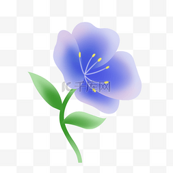 蓝紫色弥散渐变花朵植物