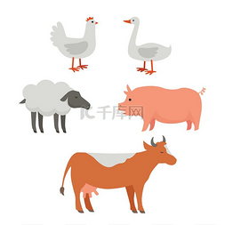 羊猪图片_一套家畜插图平面风格设计中的矢