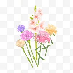 插画风菊花图片_佛花水彩风