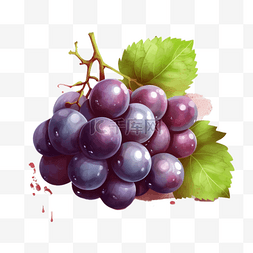 卡通手绘插画水果图片_卡通手绘夏季水果葡萄