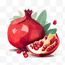 水果红色石榴手绘