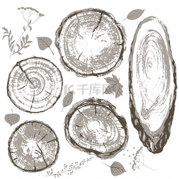 cross图片_Gray cross section of tree trunk and leaves s