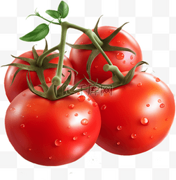 水果蔬菜图片_卡通西红柿蔬菜水果