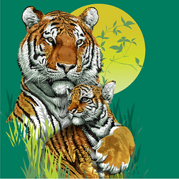 绿色猫头图片_在丛林中的老虎家庭.