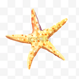 海星海洋水彩黄色渐变星型