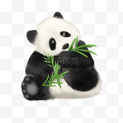 水彩熊猫黑白颜色