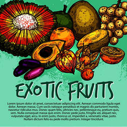 巴厘岛金巴兰海滩图片_新鲜热带浆果的异国水果素描海报