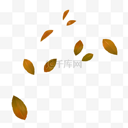 秋天漂浮装饰落叶