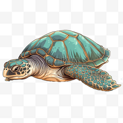 扁平插画手绘免抠元素海龟