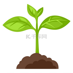 生长图片_生长在地面的新芽植物的例证。