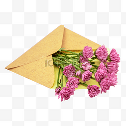 花朵信封信纸